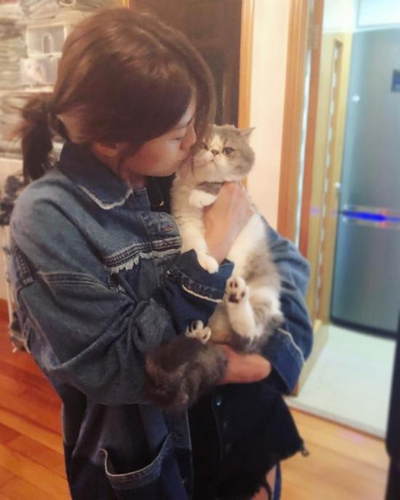 猫奴上线!周秀娜紧揽爱宠亲亲 粉丝大呼羡慕