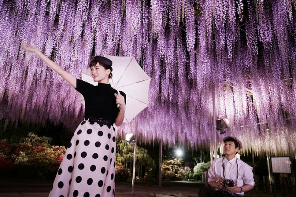《今夜在浪漫剧场》今日韩国上映 主演坂口健太郎迎27岁生日